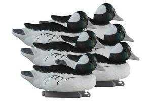 Standard Bufflehead Drake Decoys 6 Pack