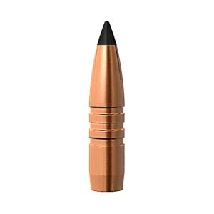 BRNS 32470 .243 6ARC 90 TAC-TXBT 50/10