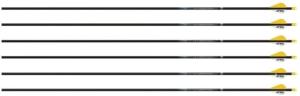 Easton Arrow Sonic 6.0 400 w/2in Bully Vanes 6-pack, 330637