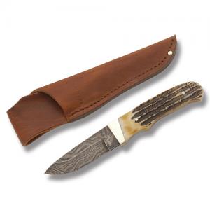 Bear & Son Hunter with India Stag Bone Handle and Damascus Steel 3.688" Drop Point Plain Edge Blade Model 549D