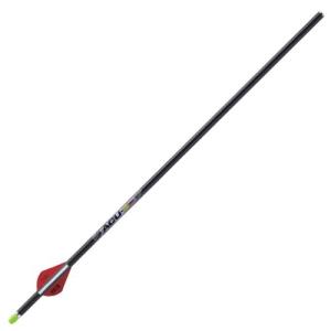 TENPOINT ACU-X RD CARBON ARROWS 20 .001