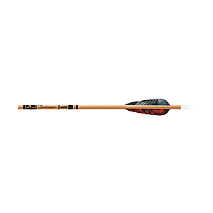 Gold Tip Traditional 500 Carbon Arrows with Feathers 6-Pack - Arrows Tips And Accessories at Academy Sports