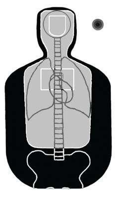 Law Enforcement Targets F-TQ19ANT-A F-TQ19ANT-A TQ-19 With Anatomy Scoring