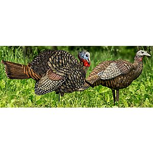 Avian-X LCD 1/2 Strut Jake and Breeder Hen Turkey Decoy Combo