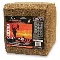 Ani-Logics Ani-Protein Block 365, 25 lbs.