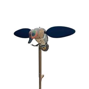 MOJO HW2555 GREEN WING 177261