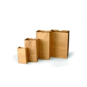 Forensics Source Plain Paper Bags Style 25100 - 3-0023P