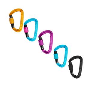 Trango Superfly Evo Screwlock Carabiner, Cyan/Pink, 23351-301-01