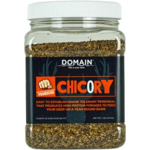 Domain Pounder Chicory Food Plot Seed 1 lb.