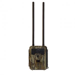 Covert Scouting Cameras E1 Verizon Trail Camera, Moak Bottomland, 5588