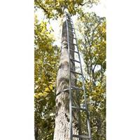 Guide Gear 20&amp;#039; Tree Ladder